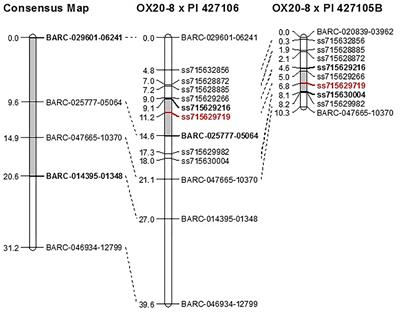 Identification of Candidate Genes for a Major Quantitative Disease Resistance Locus From Soybean PI 427105B for Resistance to Phytophthora sojae